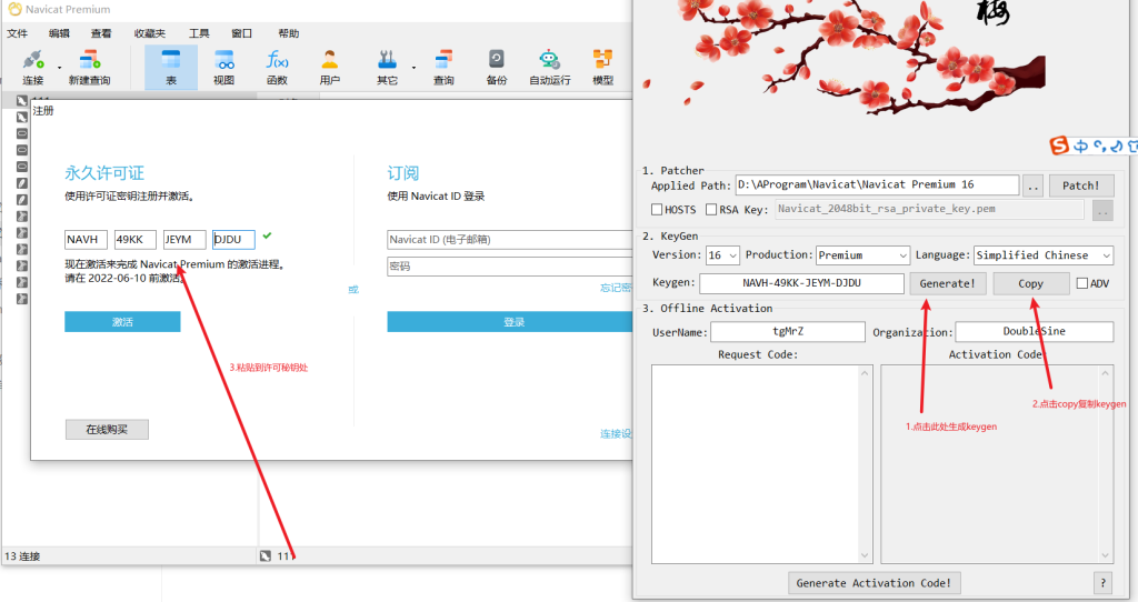 图片[4]-Navicat160 premium cs x64 破解版-智鑫小铺